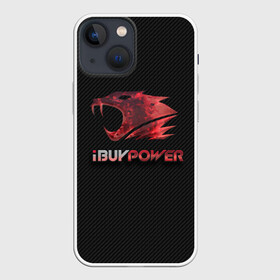 Чехол для iPhone 13 mini с принтом cs:go   iBUYPOWER (KATOWICE 2014) в Петрозаводске,  |  | cs | csgo | го | кс