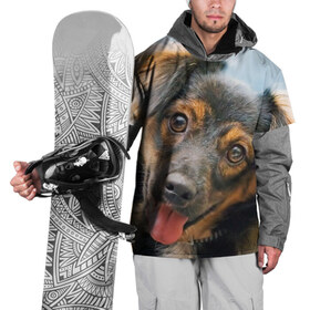 Накидка на куртку 3D с принтом Длинношерстная такса в Петрозаводске, 100% полиэстер |  | дворняжка | песик | собака | собаки | собачка | собачки | такса | таксы