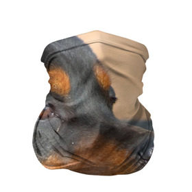 Бандана-труба 3D с принтом Ротвейлер в Петрозаводске, 100% полиэстер, ткань с особыми свойствами — Activecool | плотность 150‒180 г/м2; хорошо тянется, но сохраняет форму | Тематика изображения на принте: большая | пес | песик | псина | ротвейлер | ротвейлеры | собака | собаки