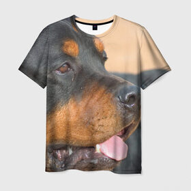 Мужская футболка 3D с принтом Ротвейлер в Петрозаводске, 100% полиэфир | прямой крой, круглый вырез горловины, длина до линии бедер | большая | пес | песик | псина | ротвейлер | ротвейлеры | собака | собаки