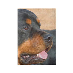 Обложка для паспорта матовая кожа с принтом Ротвейлер в Петрозаводске, натуральная матовая кожа | размер 19,3 х 13,7 см; прозрачные пластиковые крепления | большая | пес | песик | псина | ротвейлер | ротвейлеры | собака | собаки
