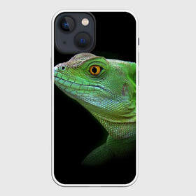 Чехол для iPhone 13 mini с принтом Рептилоид в Петрозаводске,  |  | о.м.с.к. | природа | ящерица