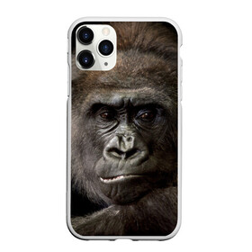 Чехол для iPhone 11 Pro Max матовый с принтом Взгляд в Петрозаводске, Силикон |  | взгляд | голова | животные | обезьяна | природа