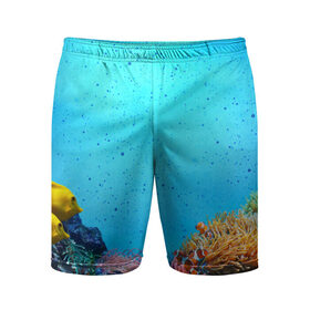 Мужские шорты 3D спортивные с принтом рыбки в Петрозаводске,  |  | дно | лазурь | море | океан | синий | яркий