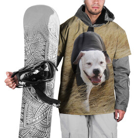 Накидка на куртку 3D с принтом Пит-буль на траве в Петрозаводске, 100% полиэстер |  | Тематика изображения на принте: амстафф | буль | пес | песик | питбули | питбуль | собака | собаки | стафф | терьер