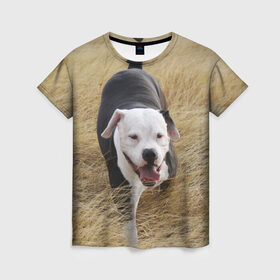 Женская футболка 3D с принтом Пит-буль на траве в Петрозаводске, 100% полиэфир ( синтетическое хлопкоподобное полотно) | прямой крой, круглый вырез горловины, длина до линии бедер | амстафф | буль | пес | песик | питбули | питбуль | собака | собаки | стафф | терьер