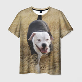 Мужская футболка 3D с принтом Пит-буль на траве в Петрозаводске, 100% полиэфир | прямой крой, круглый вырез горловины, длина до линии бедер | амстафф | буль | пес | песик | питбули | питбуль | собака | собаки | стафф | терьер