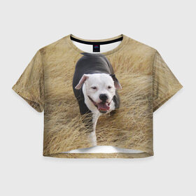 Женская футболка 3D укороченная с принтом Пит-буль на траве в Петрозаводске, 100% полиэстер | круглая горловина, длина футболки до линии талии, рукава с отворотами | Тематика изображения на принте: амстафф | буль | пес | песик | питбули | питбуль | собака | собаки | стафф | терьер