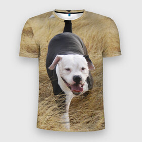 Мужская футболка 3D спортивная с принтом Пит-буль на траве в Петрозаводске, 100% полиэстер с улучшенными характеристиками | приталенный силуэт, круглая горловина, широкие плечи, сужается к линии бедра | Тематика изображения на принте: амстафф | буль | пес | песик | питбули | питбуль | собака | собаки | стафф | терьер