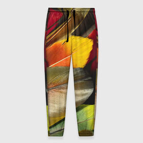 Мужские брюки 3D с принтом Перья в Петрозаводске, 100% полиэстер | манжеты по низу, эластичный пояс регулируется шнурком, по бокам два кармана без застежек, внутренняя часть кармана из мелкой сетки | новый | перья | рисунок | текстура | узоры | цветной