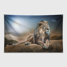 Флаг-баннер с принтом Лев в Петрозаводске, 100% полиэстер | размер 67 х 109 см, плотность ткани — 95 г/м2; по краям флага есть четыре люверса для крепления | животные | лев | природа | пустыня