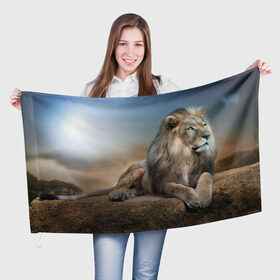Флаг 3D с принтом Лев в Петрозаводске, 100% полиэстер | плотность ткани — 95 г/м2, размер — 67 х 109 см. Принт наносится с одной стороны | животные | лев | природа | пустыня