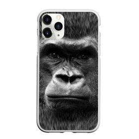 Чехол для iPhone 11 Pro Max матовый с принтом Взгляд в Петрозаводске, Силикон |  | взгляд | голова | животные | о.м.с.к. | обезьяна | природа