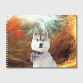 Альбом для рисования с принтом Хаски в Петрозаводске, 100% бумага
 | матовая бумага, плотность 200 мг. | маламут | песик | собака | собаки | собачка | хаски