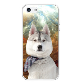 Чехол для iPhone 5/5S матовый с принтом Хаски в Петрозаводске, Силикон | Область печати: задняя сторона чехла, без боковых панелей | маламут | песик | собака | собаки | собачка | хаски