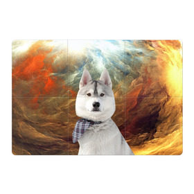 Магнитный плакат 3Х2 с принтом Хаски в Петрозаводске, Полимерный материал с магнитным слоем | 6 деталей размером 9*9 см | маламут | песик | собака | собаки | собачка | хаски