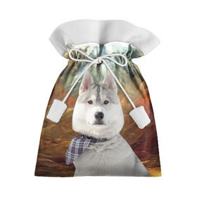 Подарочный 3D мешок с принтом Хаски в Петрозаводске, 100% полиэстер | Размер: 29*39 см | Тематика изображения на принте: маламут | песик | собака | собаки | собачка | хаски