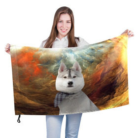 Флаг 3D с принтом Хаски в Петрозаводске, 100% полиэстер | плотность ткани — 95 г/м2, размер — 67 х 109 см. Принт наносится с одной стороны | маламут | песик | собака | собаки | собачка | хаски