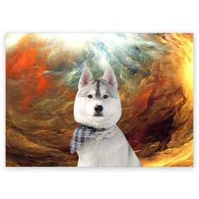 Поздравительная открытка с принтом Хаски в Петрозаводске, 100% бумага | плотность бумаги 280 г/м2, матовая, на обратной стороне линовка и место для марки
 | маламут | песик | собака | собаки | собачка | хаски