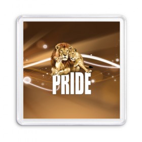 Магнит 55*55 с принтом Pride в Петрозаводске, Пластик | Размер: 65*65 мм; Размер печати: 55*55 мм | lion | голова животного | кот | кошка | лев | хищник | царь | цвет