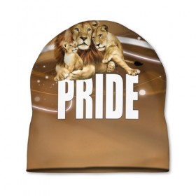 Шапка 3D с принтом Pride в Петрозаводске, 100% полиэстер | универсальный размер, печать по всей поверхности изделия | lion | голова животного | кот | кошка | лев | хищник | царь | цвет