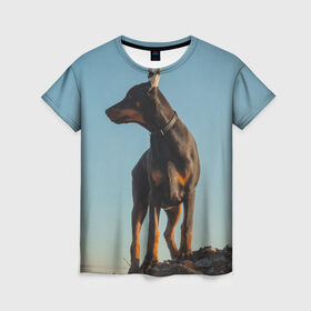 Женская футболка 3D с принтом Доберман в Петрозаводске, 100% полиэфир ( синтетическое хлопкоподобное полотно) | прямой крой, круглый вырез горловины, длина до линии бедер | доберман | доберманы | пес | песик | псы | собака | собаки
