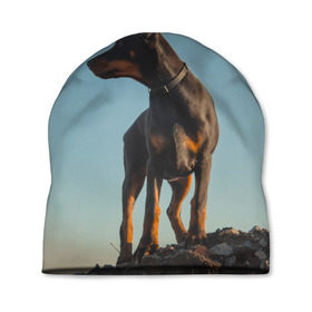 Шапка 3D с принтом Доберман в Петрозаводске, 100% полиэстер | универсальный размер, печать по всей поверхности изделия | Тематика изображения на принте: доберман | доберманы | пес | песик | псы | собака | собаки