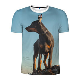 Мужская футболка 3D спортивная с принтом Доберман в Петрозаводске, 100% полиэстер с улучшенными характеристиками | приталенный силуэт, круглая горловина, широкие плечи, сужается к линии бедра | доберман | доберманы | пес | песик | псы | собака | собаки