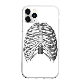 Чехол для iPhone 11 Pro Max матовый с принтом Ребра в Петрозаводске, Силикон |  | bones | halloween | skull | скелет | скелеты | хеллоиун | хэллоуин | хэлоуин | череп | черепа
