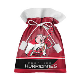 Подарочный 3D мешок с принтом Carolina Hurricanes в Петрозаводске, 100% полиэстер | Размер: 29*39 см | carolina hurricanes | nhl | stanley cup | каролина | каролина харрикейнз | кубок стенли | кубок стэнли | нхл | хоккей | хоккейный клуб | хурикэйнс