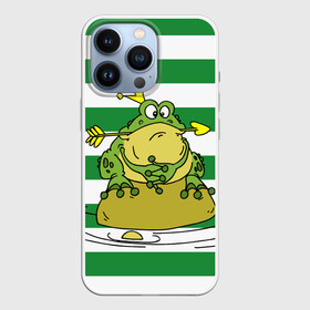 Чехол для iPhone 13 Pro с принтом Царевна лягушка в Петрозаводске,  |  | корона | сказка | стрела