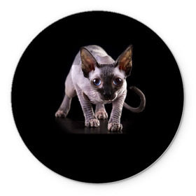 Коврик круглый с принтом Сфинкс в Петрозаводске, резина и полиэстер | круглая форма, изображение наносится на всю лицевую часть | взгляд | глаза | голова животного | киска | кот | котёнок | кошка | прикольные картинки