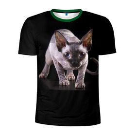 Мужская футболка 3D спортивная с принтом Сфинкс в Петрозаводске, 100% полиэстер с улучшенными характеристиками | приталенный силуэт, круглая горловина, широкие плечи, сужается к линии бедра | взгляд | глаза | голова животного | киска | кот | котёнок | кошка | прикольные картинки