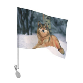 Флаг для автомобиля с принтом Рисунок в Петрозаводске, 100% полиэстер | Размер: 30*21 см | зверь | лес | снег