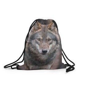 Рюкзак-мешок 3D с принтом Wolf в Петрозаводске, 100% полиэстер | плотность ткани — 200 г/м2, размер — 35 х 45 см; лямки — толстые шнурки, застежка на шнуровке, без карманов и подкладки | зверь | лес