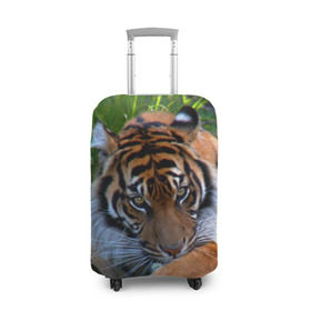 Чехол для чемодана 3D с принтом Скромный тигр в Петрозаводске, 86% полиэфир, 14% спандекс | двустороннее нанесение принта, прорези для ручек и колес | дикие | лев | милые | новинки | орел | популярные | прикольные | природа | птицы | тигр | яркие
