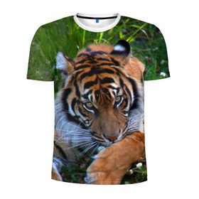 Мужская футболка 3D спортивная с принтом Скромный тигр в Петрозаводске, 100% полиэстер с улучшенными характеристиками | приталенный силуэт, круглая горловина, широкие плечи, сужается к линии бедра | Тематика изображения на принте: дикие | лев | милые | новинки | орел | популярные | прикольные | природа | птицы | тигр | яркие