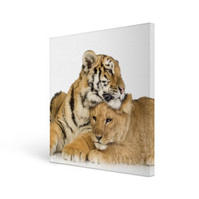 Холст квадратный с принтом Тигр и львица в Петрозаводске, 100% ПВХ |  | дикие | милые | природа | тигр | яркие