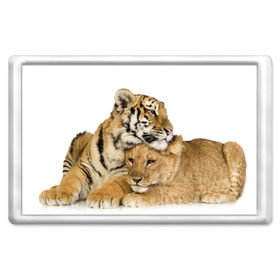 Магнит 45*70 с принтом Тигр и львица в Петрозаводске, Пластик | Размер: 78*52 мм; Размер печати: 70*45 | дикие | милые | природа | тигр | яркие