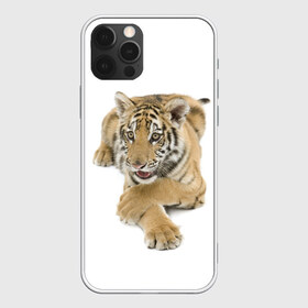 Чехол для iPhone 12 Pro Max с принтом Ласковый тигренок в Петрозаводске, Силикон |  | дикие | милые | природа | тигр | яркие