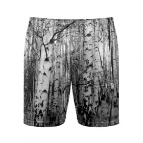 Мужские шорты 3D спортивные с принтом Березовая роща в Петрозаводске,  |  | birch | birch grove | black   white | forest | photo | trees | березовая | березы | деревья | лес | роща | фото | черно   белое