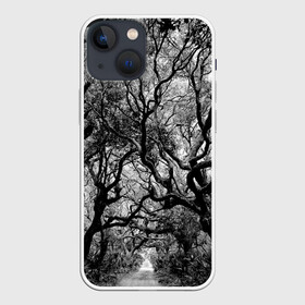 Чехол для iPhone 13 mini с принтом Деревья в Петрозаводске,  |  | black   white | crown | curly | forest | park | path | photo | thick | trees | деревья | дорожка | дремучий | крона | кудрявая | лес | парк | фото | черно   белое