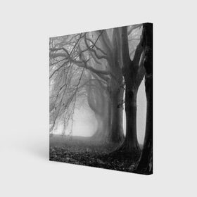 Холст квадратный с принтом Туман в лесу в Петрозаводске, 100% ПВХ |  | black   white | fog | forest | morning | photo | silhouette | trees | деревья | лес | силуэт | туман | утро | фото | черно   белое