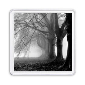 Магнит 55*55 с принтом Туман в лесу в Петрозаводске, Пластик | Размер: 65*65 мм; Размер печати: 55*55 мм | black   white | fog | forest | morning | photo | silhouette | trees | деревья | лес | силуэт | туман | утро | фото | черно   белое