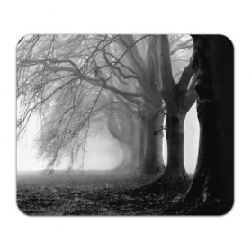 Коврик прямоугольный с принтом Туман в лесу в Петрозаводске, натуральный каучук | размер 230 х 185 мм; запечатка лицевой стороны | black   white | fog | forest | morning | photo | silhouette | trees | деревья | лес | силуэт | туман | утро | фото | черно   белое