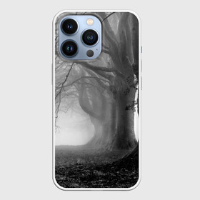 Чехол для iPhone 13 Pro с принтом Туман в лесу в Петрозаводске,  |  | black   white | fog | forest | morning | photo | silhouette | trees | деревья | лес | силуэт | туман | утро | фото | черно   белое