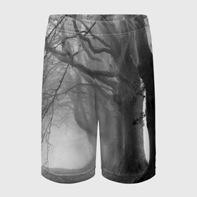 Детские спортивные шорты 3D с принтом Туман в лесу в Петрозаводске,  100% полиэстер
 | пояс оформлен широкой мягкой резинкой, ткань тянется
 | black   white | fog | forest | morning | photo | silhouette | trees | деревья | лес | силуэт | туман | утро | фото | черно   белое