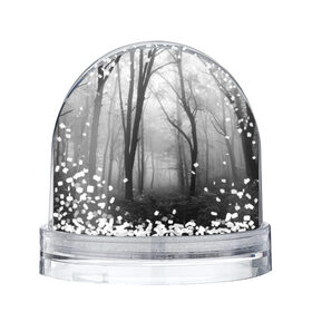 Снежный шар с принтом Туман в лесу в Петрозаводске, Пластик | Изображение внутри шара печатается на глянцевой фотобумаге с двух сторон | black   white | fog | forest | morning | photo | silhouette | trees | деревья | лес | силуэт | туман | утро | фото | черно   белое