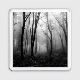 Магнит 55*55 с принтом Туман в лесу в Петрозаводске, Пластик | Размер: 65*65 мм; Размер печати: 55*55 мм | black   white | fog | forest | morning | photo | silhouette | trees | деревья | лес | силуэт | туман | утро | фото | черно   белое