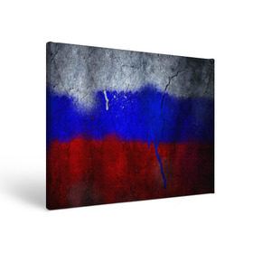 Холст прямоугольный с принтом Триколор (Краской на земле) в Петрозаводске, 100% ПВХ |  | Тематика изображения на принте: russia | белый | красный | российский флаг | россия | синий | триколор
